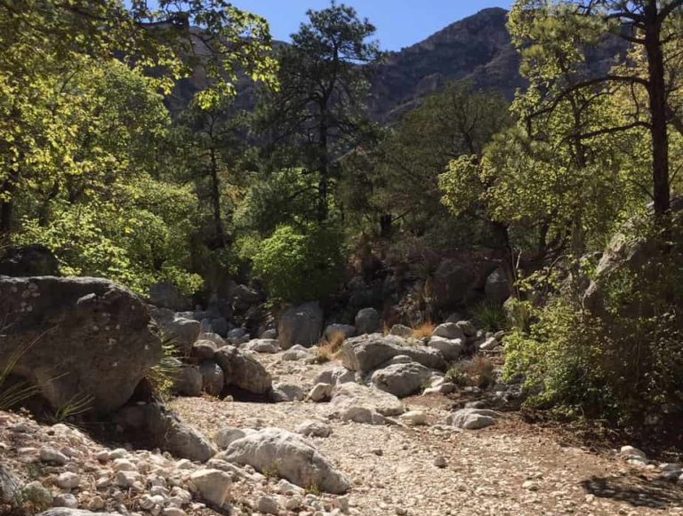 The dry creek bed on the way to Devil’s Hall