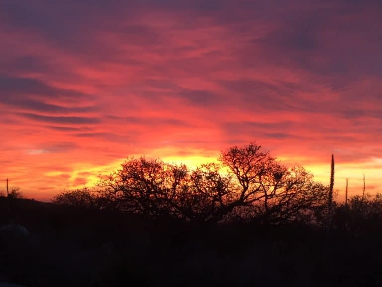 Beautiful sunrise seen from our campsite in Guadalupe Mountains National Park