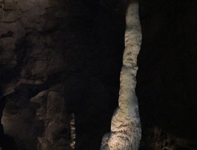 A very “finger-like” stalagmite!