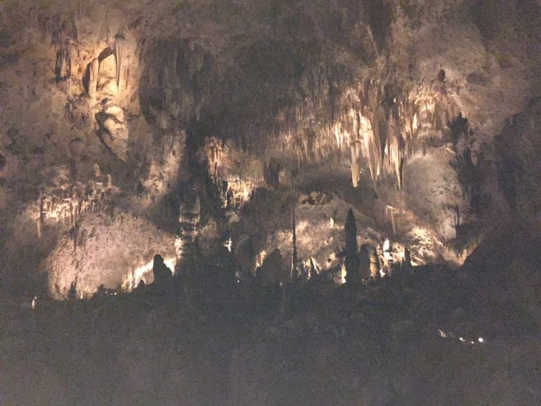 This picture can’t quite capture how huge this cave really is (300 ft high ceiling at one point)!