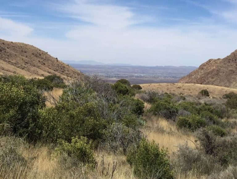 View of the city of Las Cruces from afar.