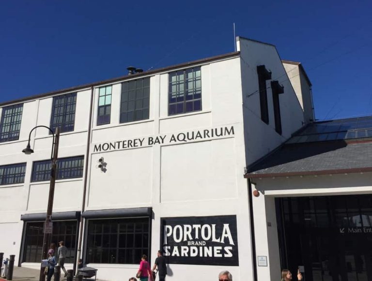 Monterey Bay Aquarium