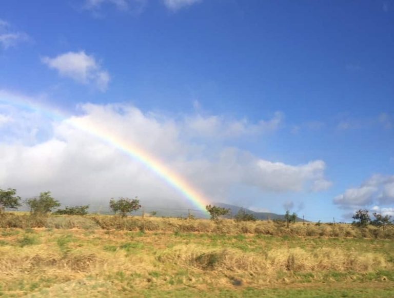 You will definitely see a rainbow if you ever go to Hawaii!