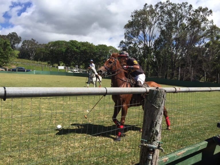 First Polo match we’ve all been to!