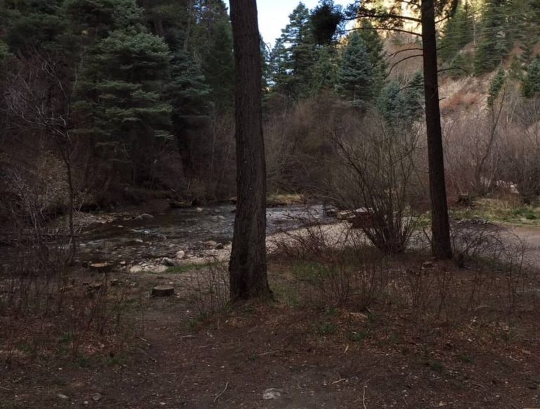 Our roadside campsite by a creek on the road up to Taos Ski Valley.