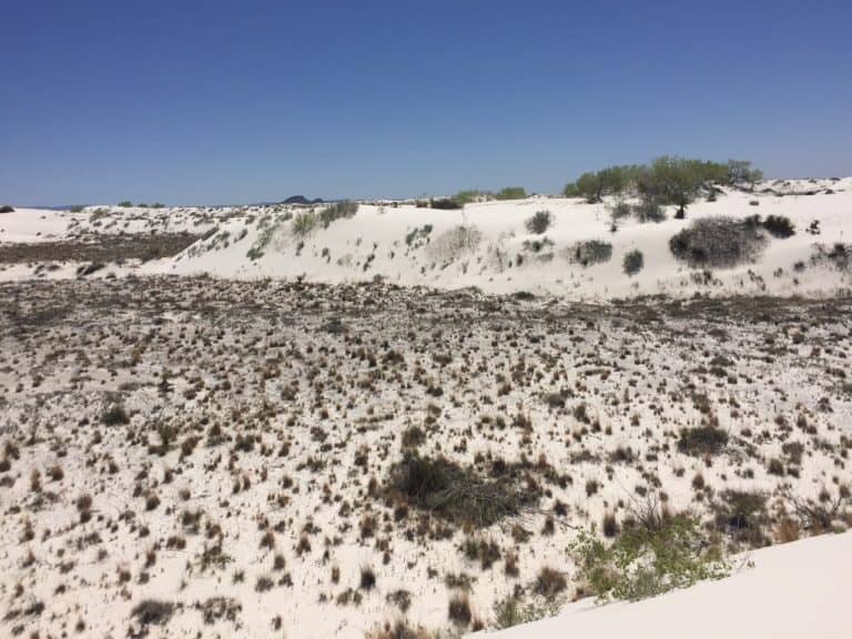 White Sands n