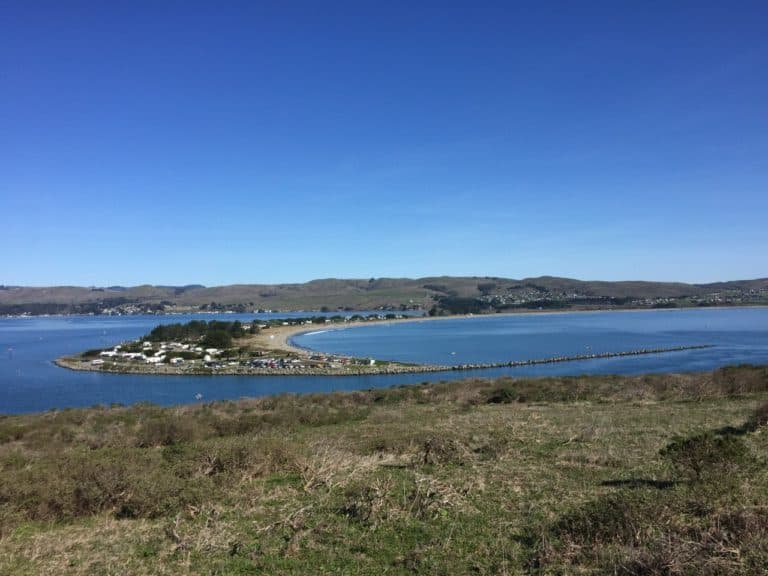 Bodega Bay