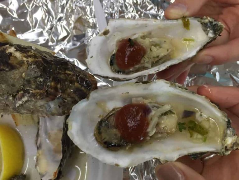 BBQ oysters right from the bay!