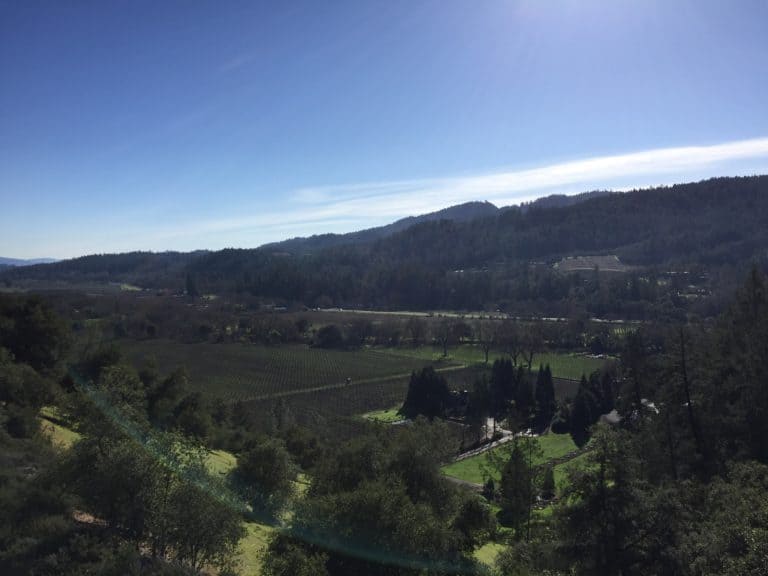 View of the Sterling Vineyards from the gondola