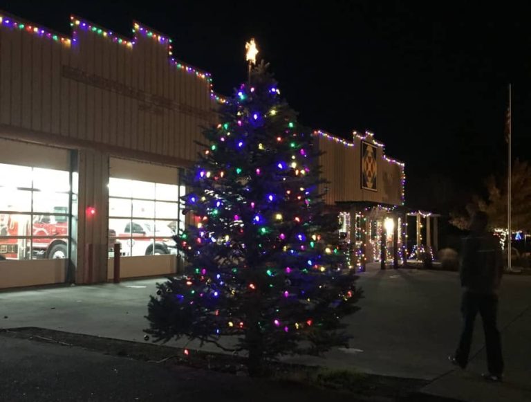 Tree at the Kelseyville Christmas Parade