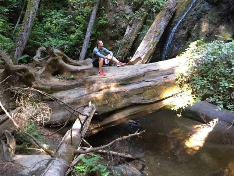 Falls Loop Trail