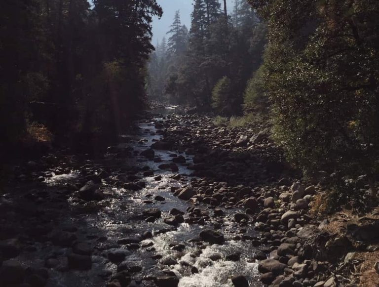 The creek we crossed walking from our campsite to Mist Trail.