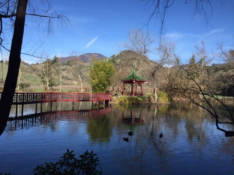 Japanese Garden in the backyard of Chateau Montelena