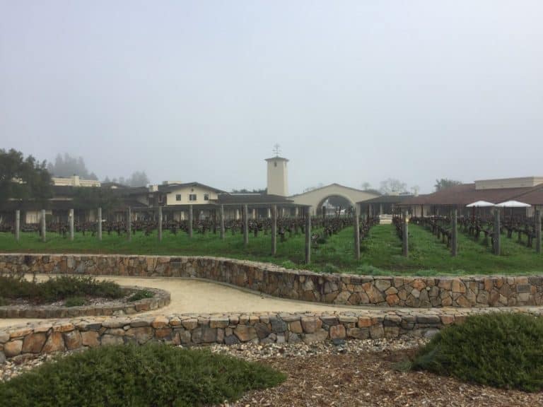 The Robert Mondavi Experience: our favorite tour!