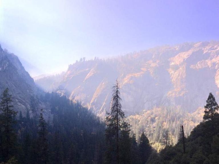 Morning fog in Yosemite Valley.M