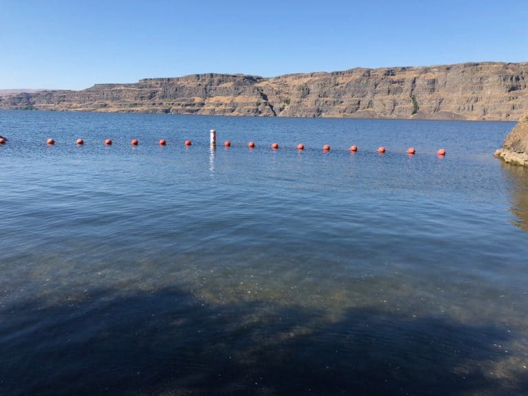 We swam in the Columbia River at Rattlesnake Cove in Sunland.