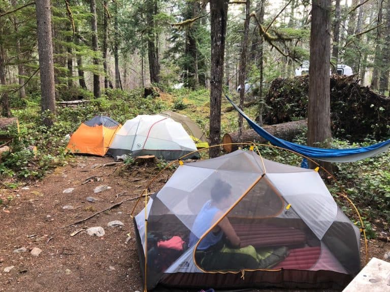 Our campsite at Newhalem Campground.