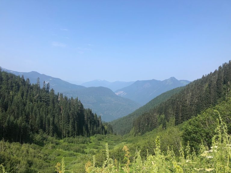 View of a valley on Hidden Lake Trail.