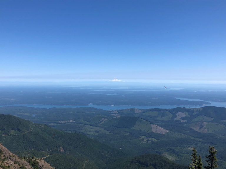 The view from the peak of Mount Ellinor. Yes, that is Mount Rainier off in the distance!