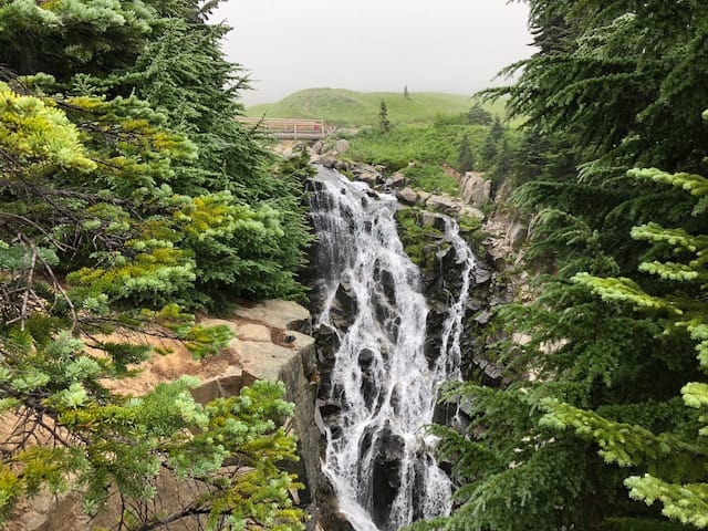 Usually Mt. Rainier would be in the background of this picture, but Myrtle Falls still looks cool in the fog.