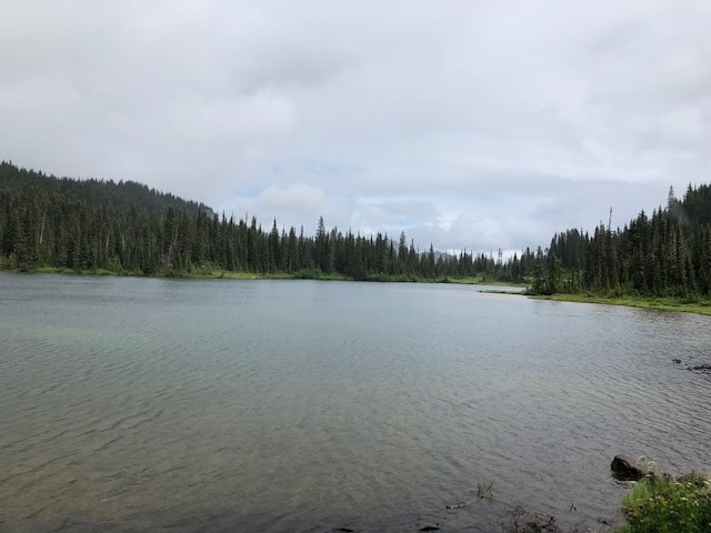 Reflections Lake wasn't so reflective on this windy and cloudy day...