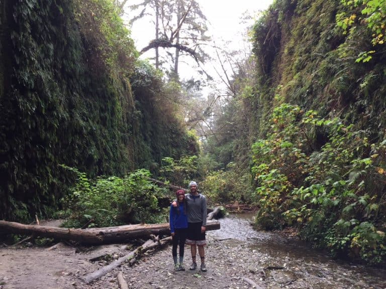 Fern Canyon