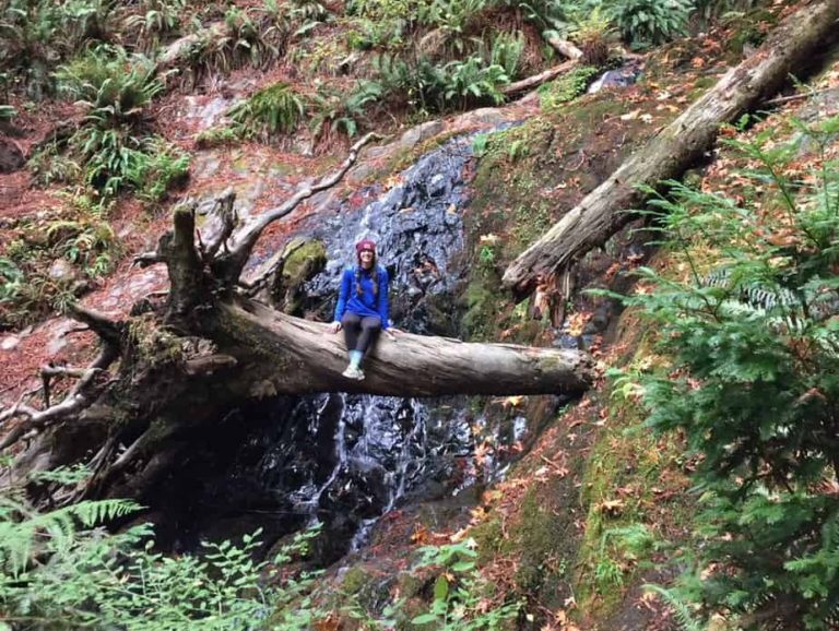 Waterfall at the end of Boy Scout Tree Trail