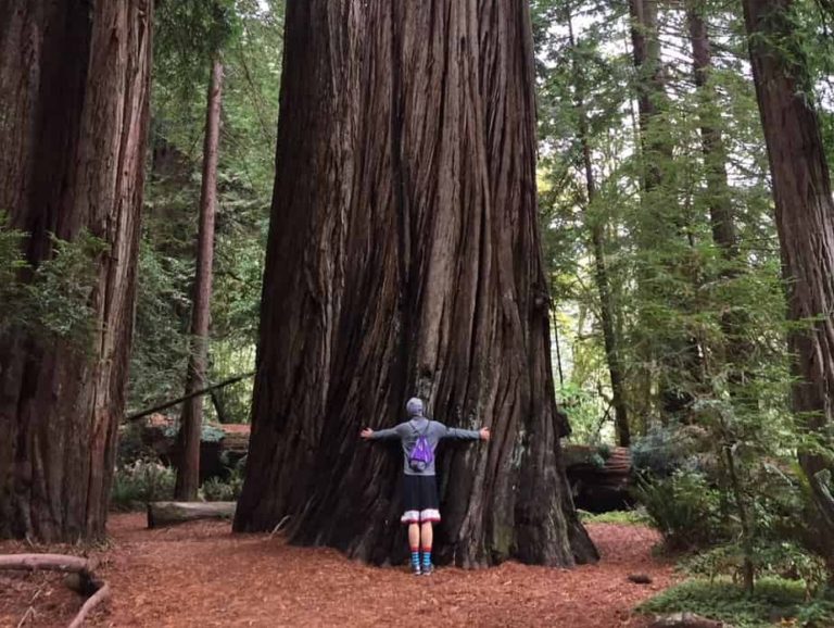 Who knew Adam was a tree hugger?!