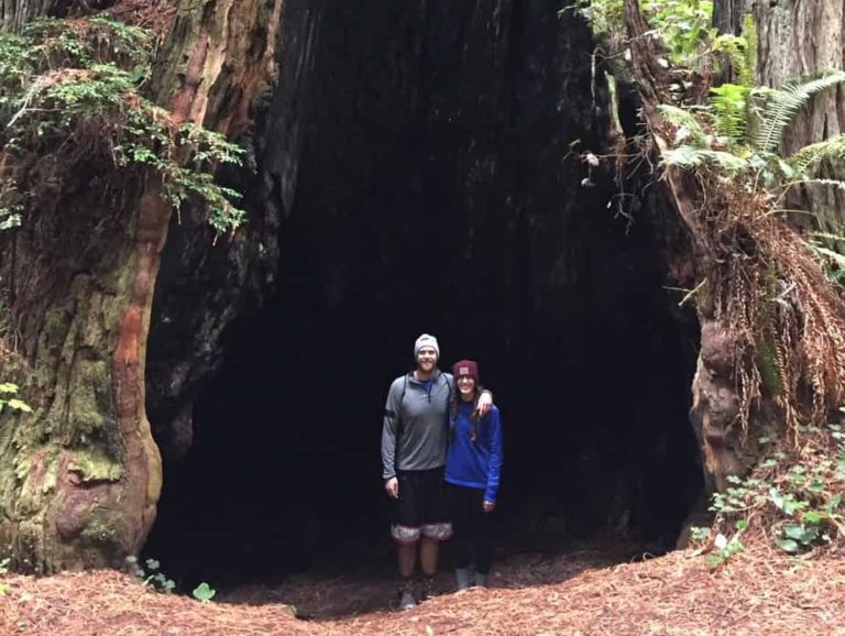 Just hangin' inside of a tree!