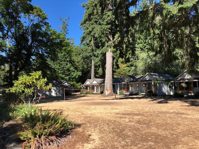 Rentals right on Lake Crescent