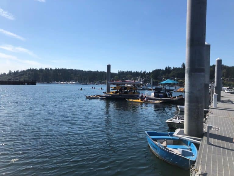 Exotic Aquatics Kayak and SUP Rentals on Bainbridge Island.