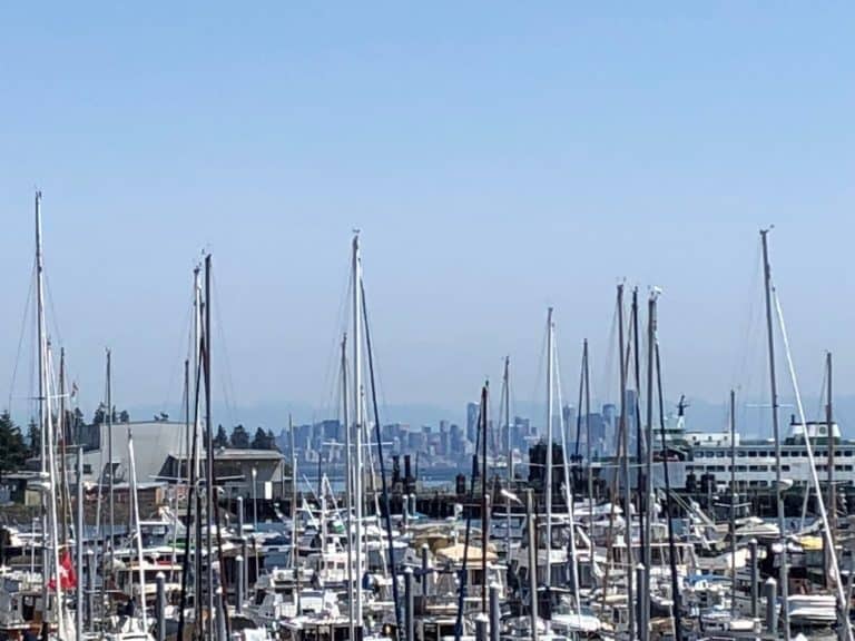 View of the marina and downtown Seattle from the Harbour Public House deck!