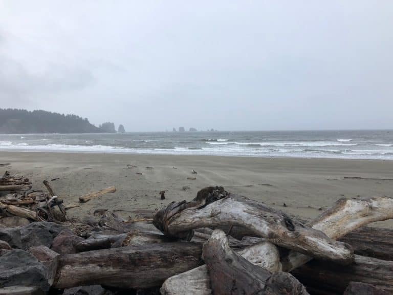 More of La Push First Beach