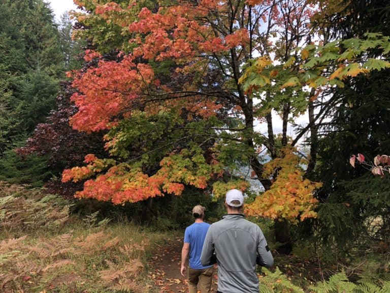 Fall colors on Sawmill Trail!