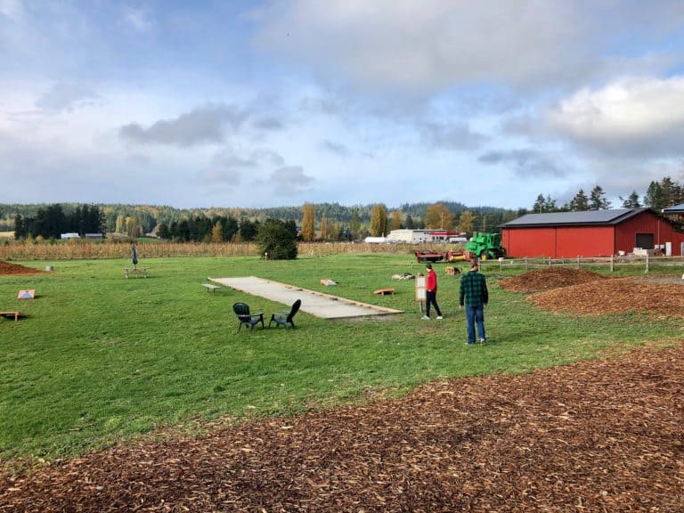 Big backyard with bocce, bags, giant chess, etc.