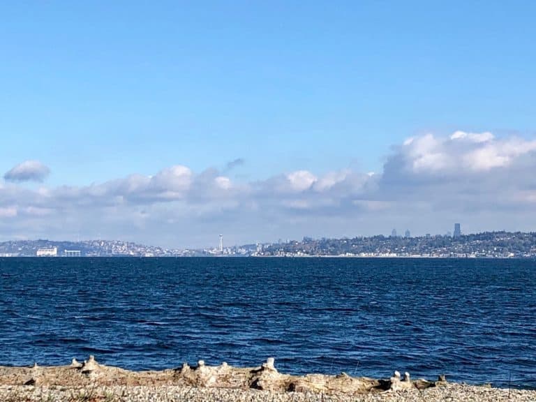 On a clear day, you can catch a great view of Seattle!