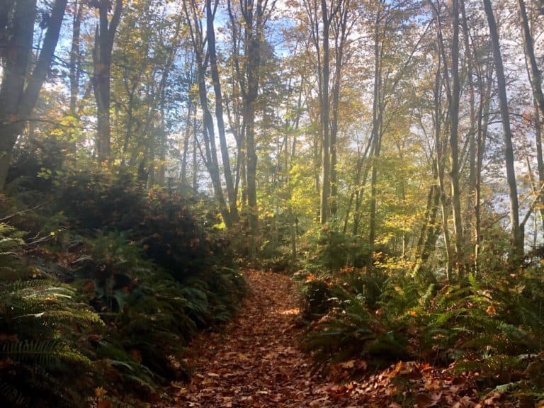 But also went a bit inland providing for a more foresty, remote feel (with great fall colors at this time of year)!