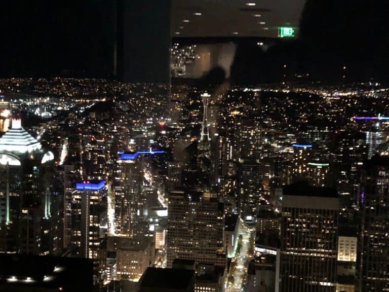 We returned to the Sky View Observatory that night for some views of the city lights!