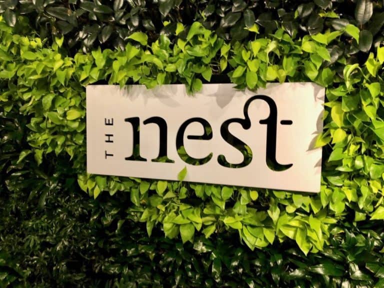 The Nest: a rooftop bar above Pike Place Market.