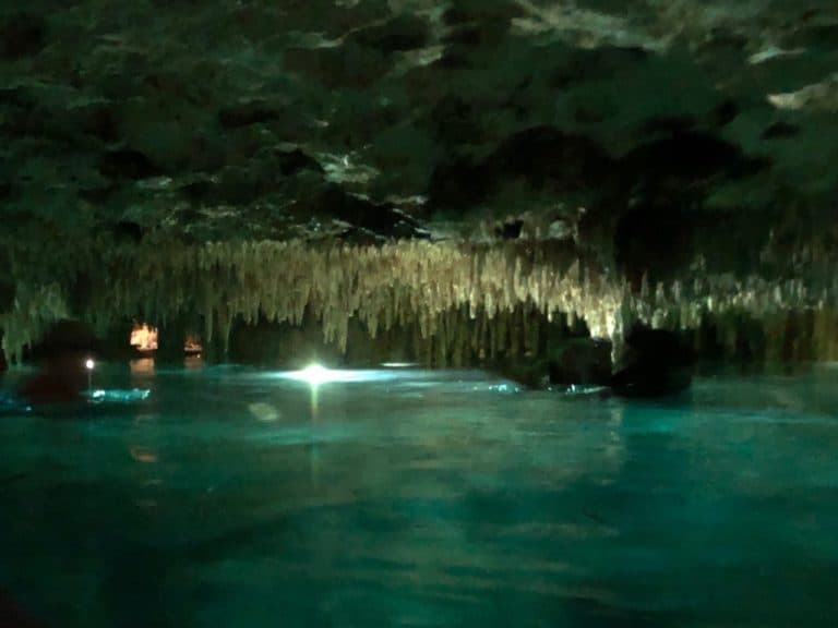 And then a refreshing swim in a cenote!