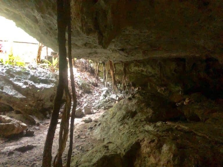 The entrance of the cave.