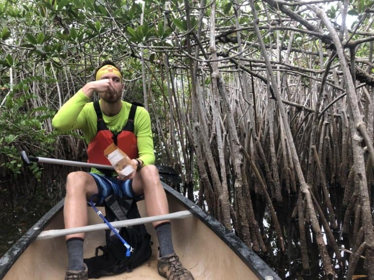 Snack time in the mangroves!