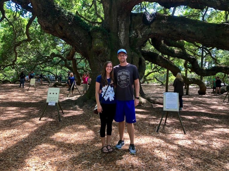 Angel Oak Tree