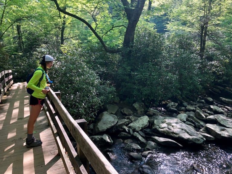 The start of the Alum Cave Trail to Mount LeConte.