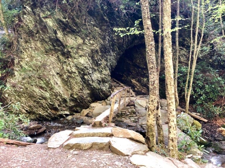 Cool tunnel on this trail.