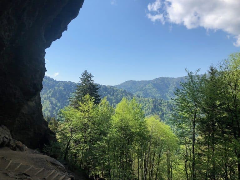 View from Alum Cave