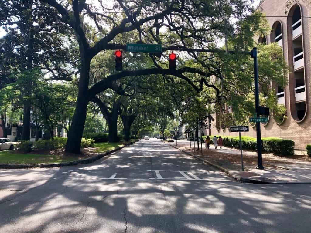 A glimpse of the endless tree-covered Savannah streets!