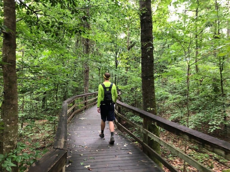 There's a boardwalk for the couple miles of trails closest to the Visitor Center.