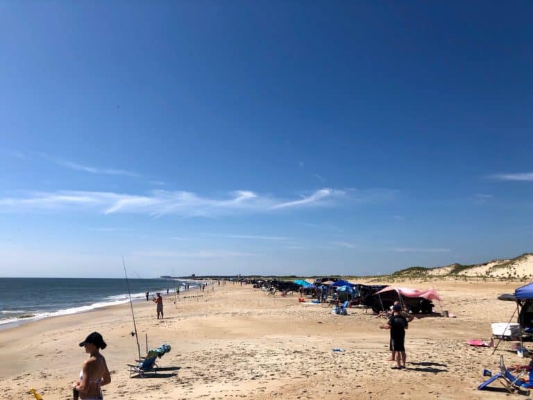 One of the several beaches at Cape Henlopen State Park.