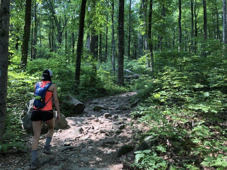 The beginning of Old Rag on somewhat normal trails.